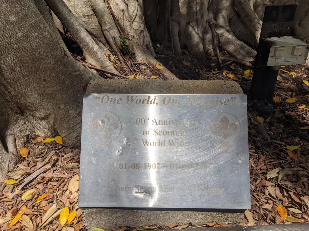 Skautský strom v zahradě