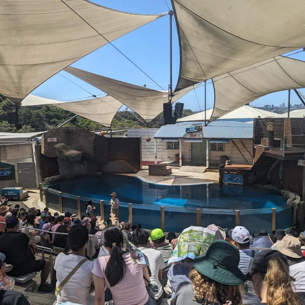 Lachtaní show jak z filmu